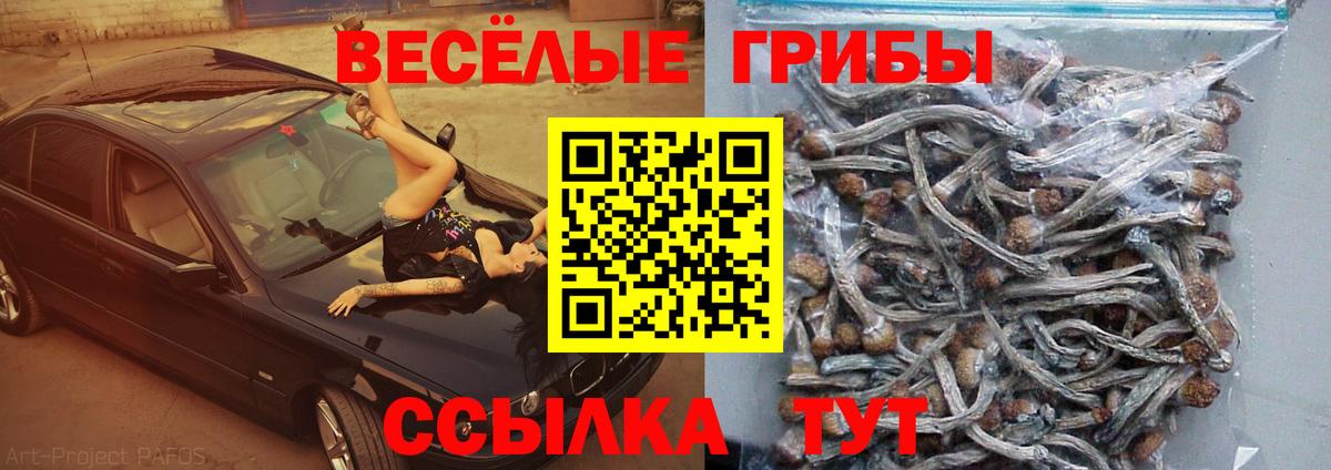 Псилоцибиновые грибы Psilocybe  дарнет шоп  Москва  Вход с VPN 