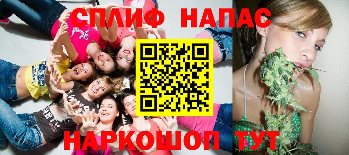 Каннабис сатива Москва